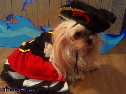 Pirate Pet Rescue Costume