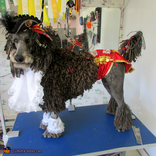 Pirate Poodle Costume