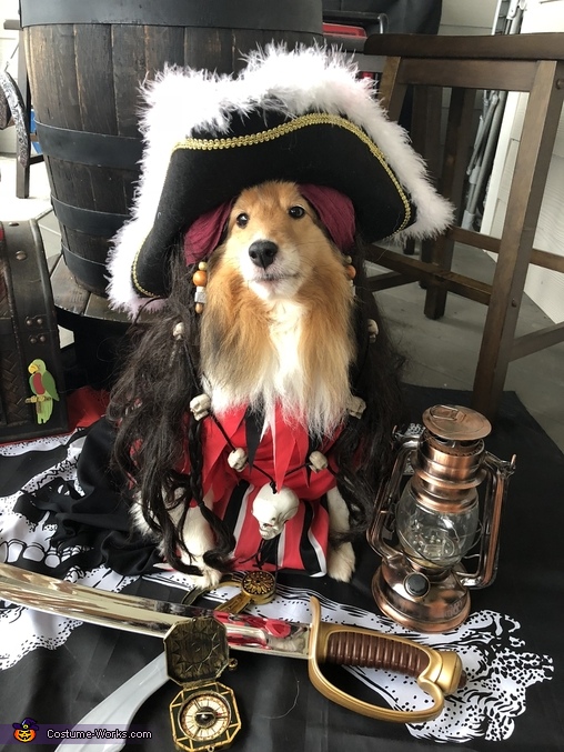 Pirate Sadie Costume