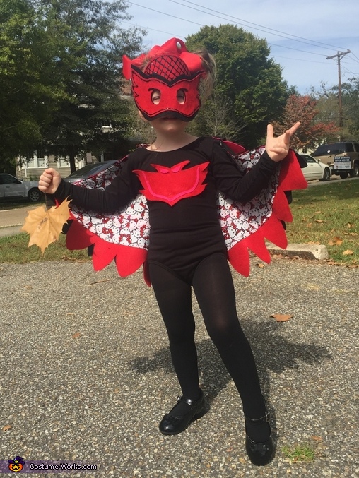 PJ Masks Owlette Costume
