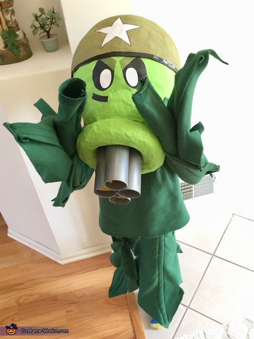 plants vs zombies costume