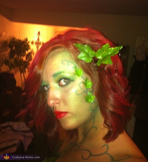 Last Minute Poison Ivy Costume Easy Diy Costumes