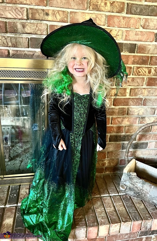 Poison Witch Costume