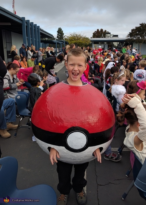 Pokeball Costume