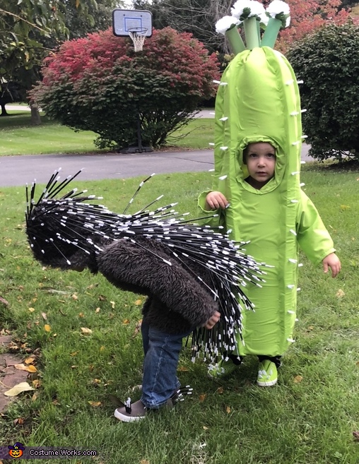 Pokey Porcupine and Cactus Duo Costume