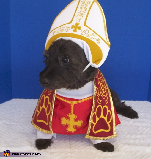 Pope Dog Costume
