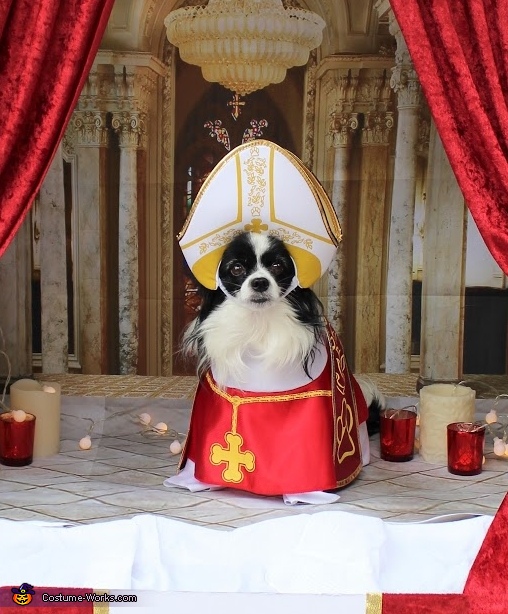 Pope Bella Costume