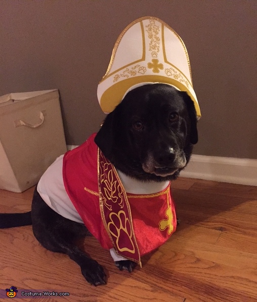 Pope Lucky Costume