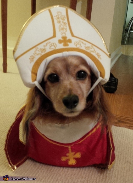pope costume for dogs