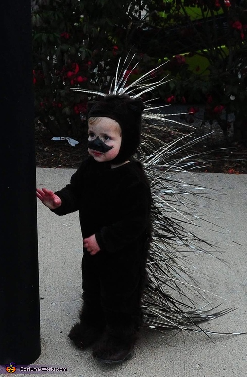 Porcupine Baby Costume