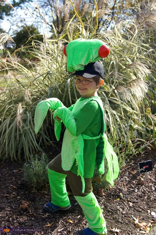 Praying Mantis Costume