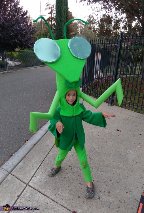 Praying Mantis Costume