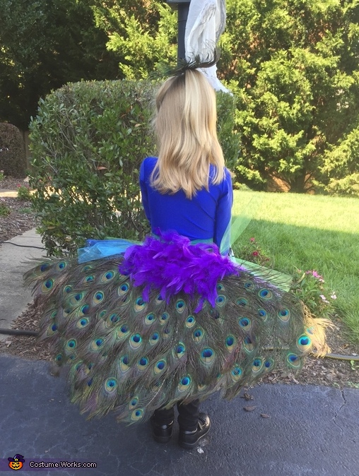 Pretty Peacock Costume