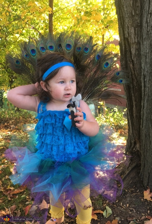 Pretty Peacock Baby Costume | Original DIY Costumes