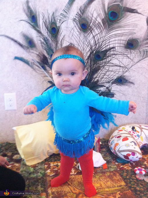 Pretty Peacock Costume