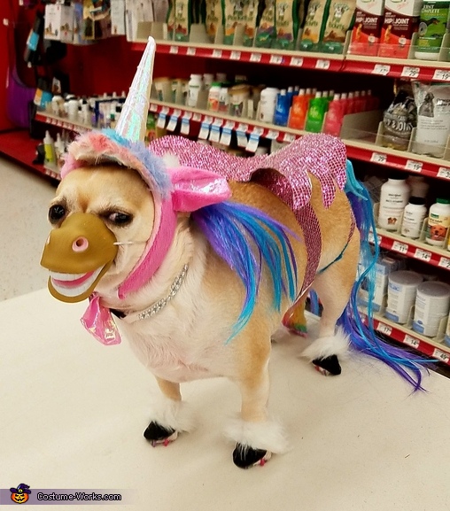 Pretty Pony Costume