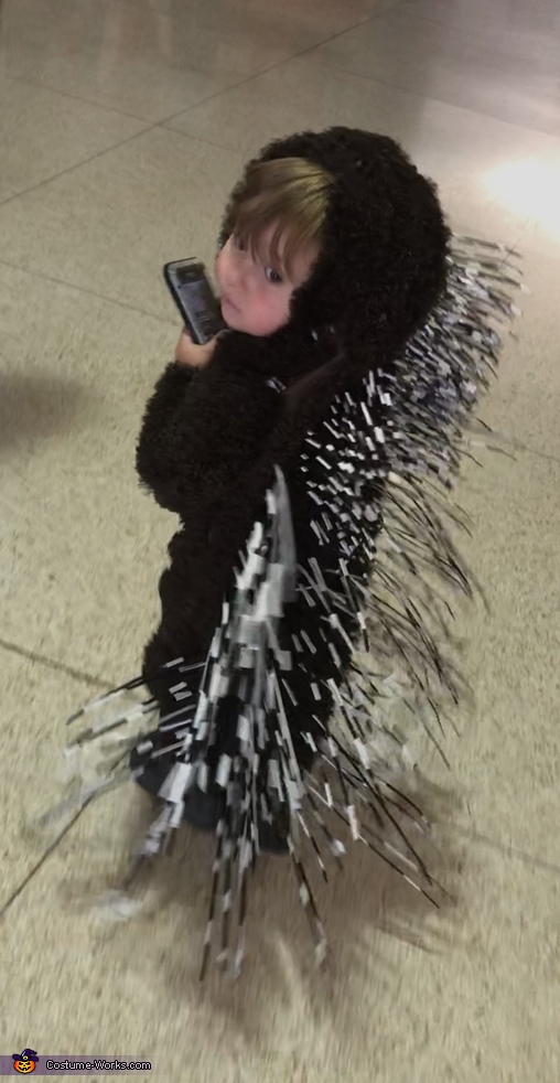 Prickly Porcupine Costume