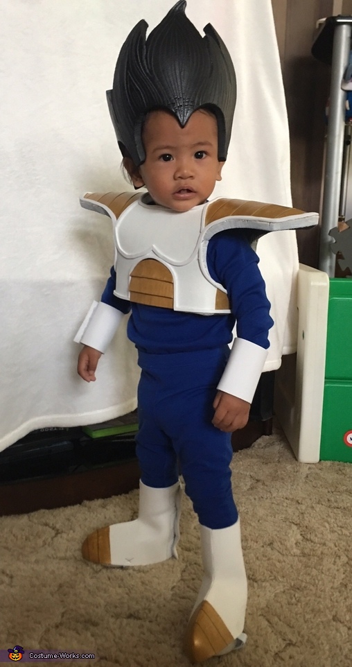 Prince of Saiyans, Vegeta Costume