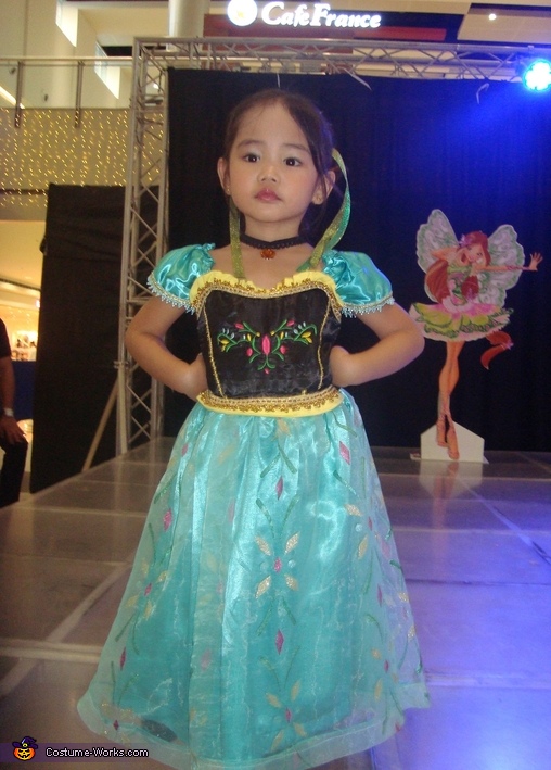 Princess Anna Costume