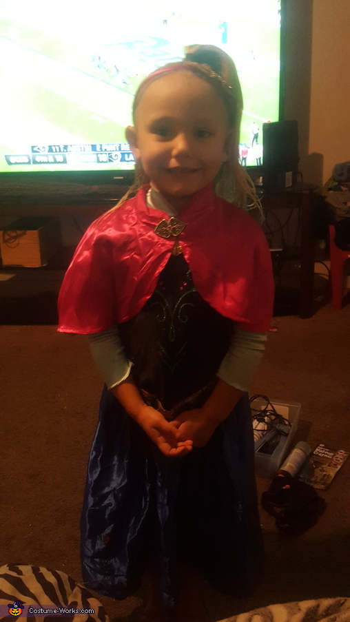 Princess Anna Costume