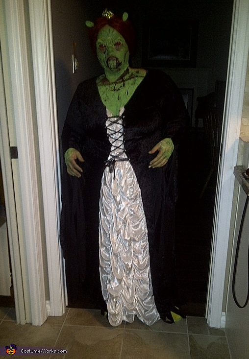 Princess Fiona Zombie Costume