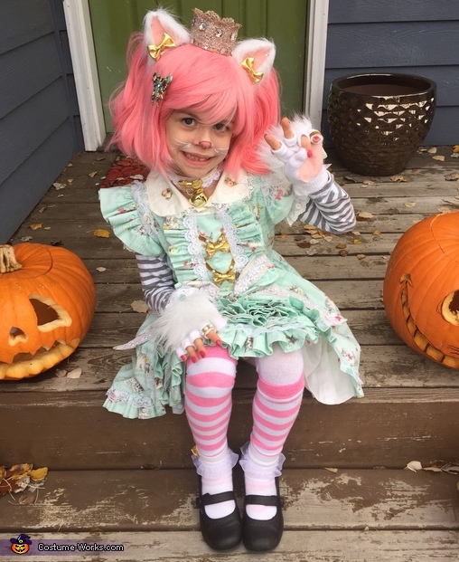 Princess Kitty Costume