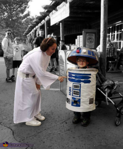 Princess Leia and R2D2 Costumes