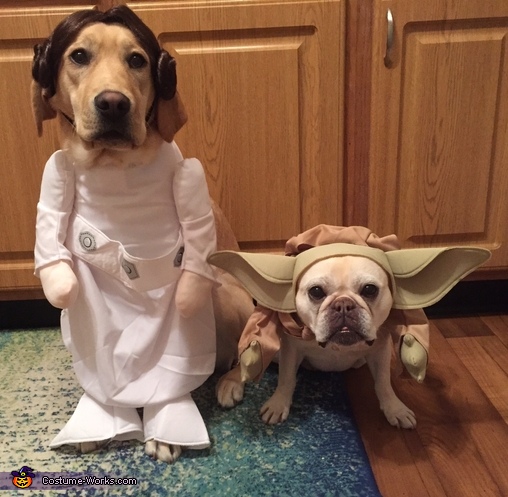 Princess Leia and Yoda Costume