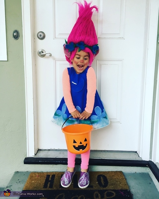 Princess Poppy Costume