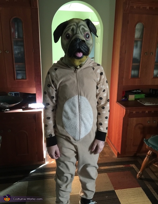 Pug Costume
