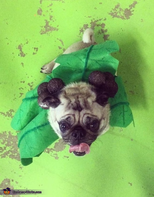 Pug Palm Tree Costume