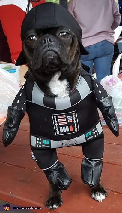 Pug Vader Costume