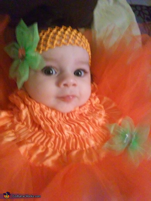 pumpkin-baby-girl-s-costume-affordable-halloween-costumes