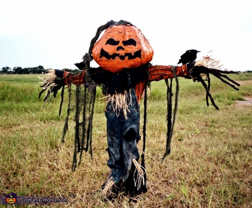 Pumpkin Patch Scarecrow Costume