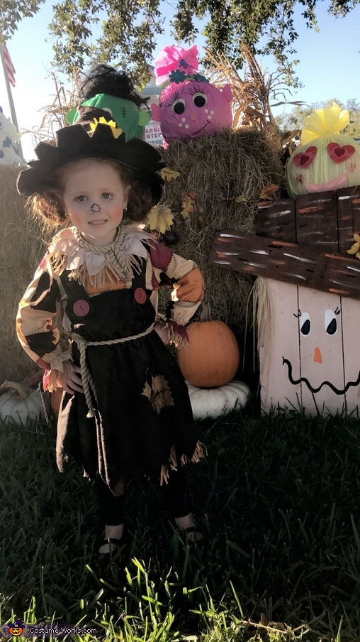 Pumpkin Patch Scarecrow Costume - Photo 4/4