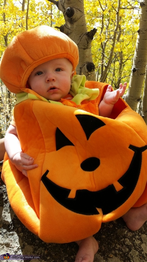 Pumpkin Stuffin' Costume