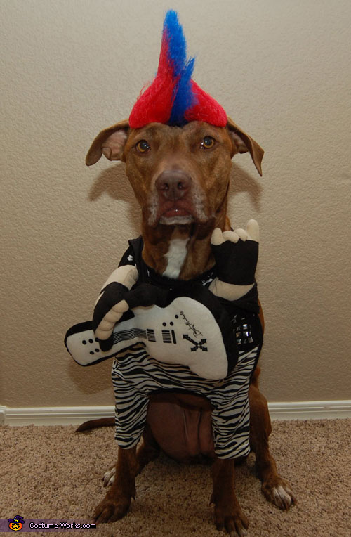 Punk Rocker Dog Costume