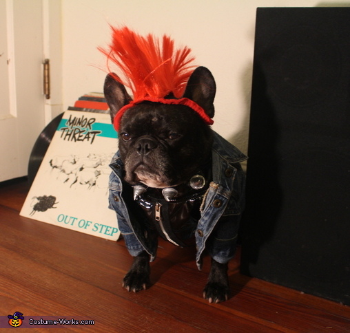 Punk Rocker Dog Costume