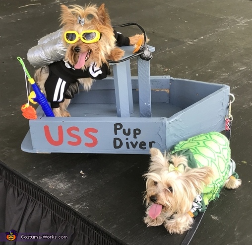 Pup Diver & Sea Turtle Costume