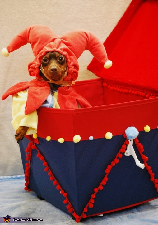 Pup in the Box Costume