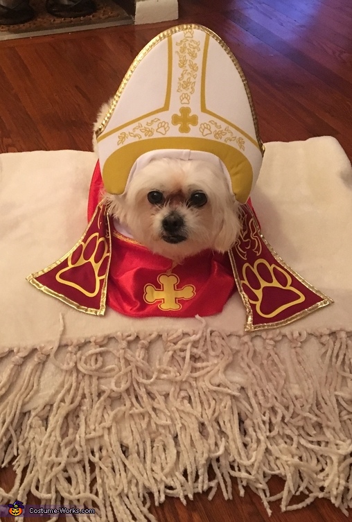 Pup Pope Costume