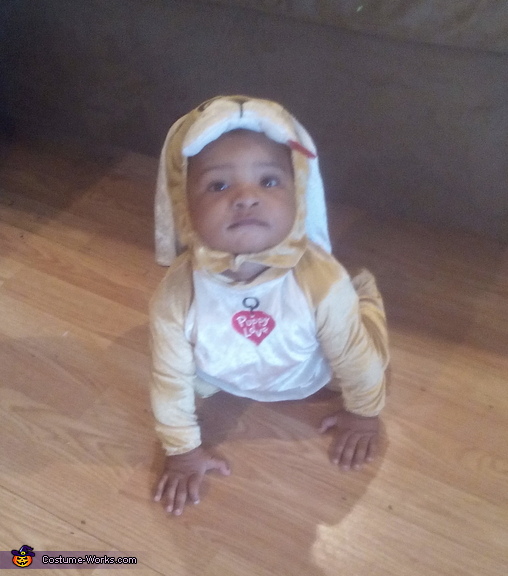 Puppy Baby Costume