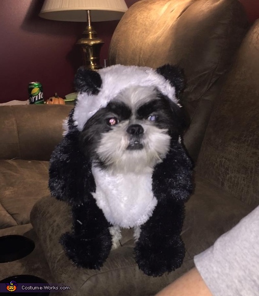 Puppy Panda Costume