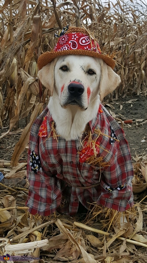 Puppy Scarecrow Costume