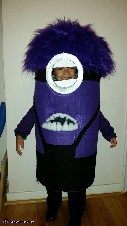 Purple Minion Costume for a Boy | Mind Blowing DIY Costumes