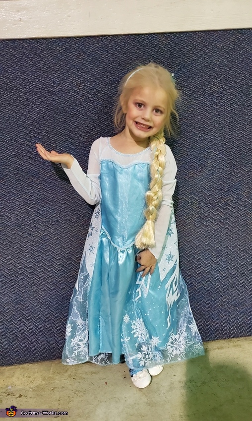 Queen Elsa Costume