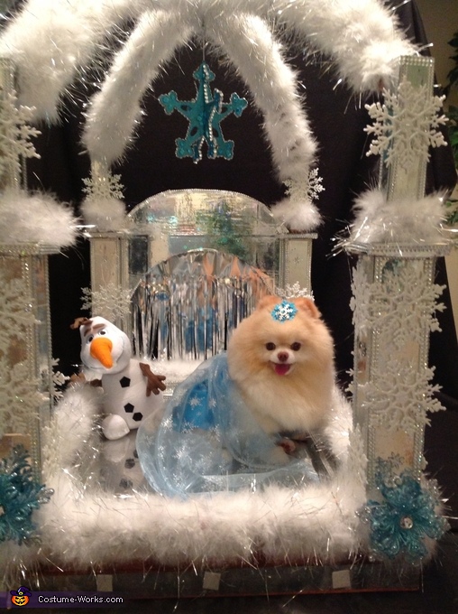 Elsa from Frozen Dog Costume