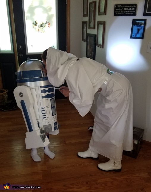 R2D2 and Princess Leia Costume