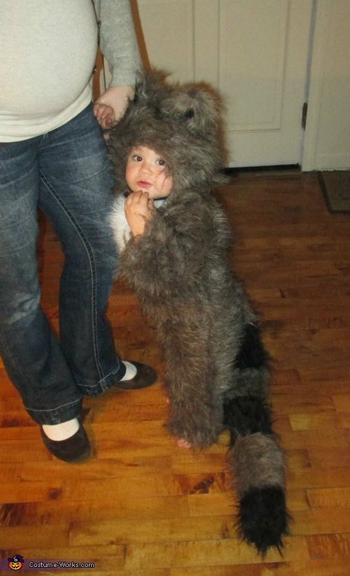 baby raccoon costume