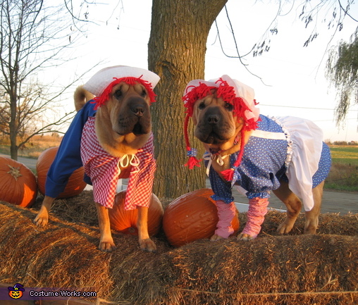 Raggedy Ann and Andy Dogs Costume
